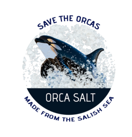 Orca Salt Salish Sea