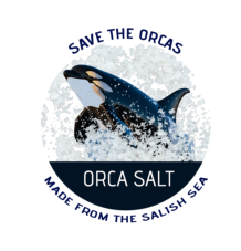 Orca Salt Salish Sea