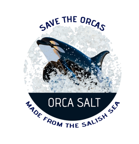Orca Salt Salish Sea